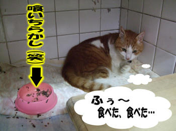 キレイに食べなさいヾ(▼ヘ▼;)オイコラ!