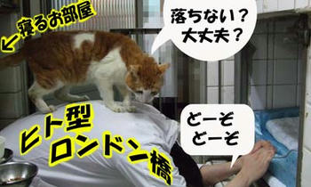 橋係ヾ(=^▽^=)ノ