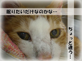 それならいいけど…。