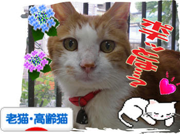(((( *≧〓)ﾉﾉﾁｭｰｯ♪