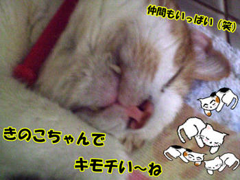 お友達と一緒だね(*^-^)ﾆｺ