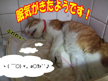 来た来たぁ～～！