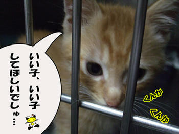 してあげるよ(*'-')b OK!