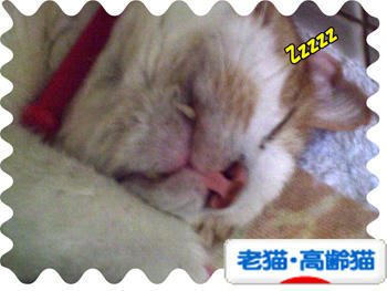 ( v^-ﾟ)Thanks♪