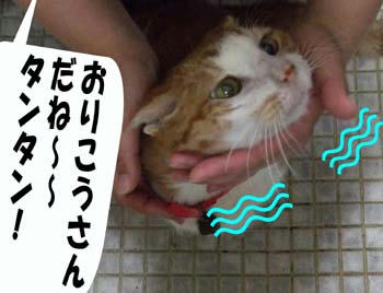 褒めちぎり!