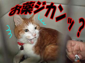 嫌がらないでね