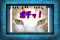 Thanks ☆☆** v(o^▽^o)v**☆☆