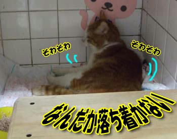 そわそわ