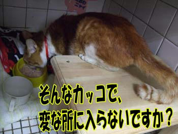 (＞▽＜)b OK!!