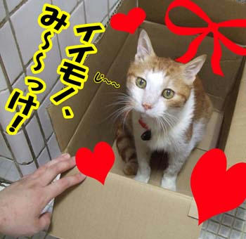 よかったね(￣Д￣；；