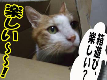 嬉しそうだ！！