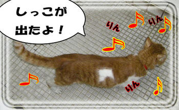 はぁーいっ♪ヽ(*^∇^*)ノ*:・'゚☆