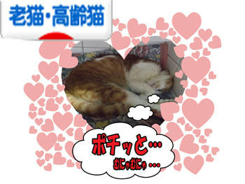 ありがとう♪(#^ー゚)v