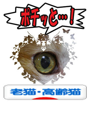 (^人^)感謝♪