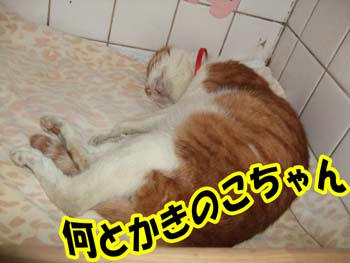 ちょっとだけ…