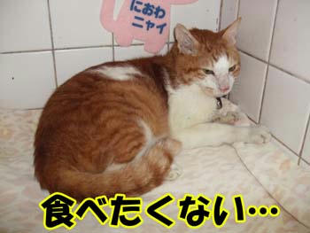 元気出して