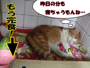 まだ朝だよ!ヾ(--;)ぉぃぉぃ