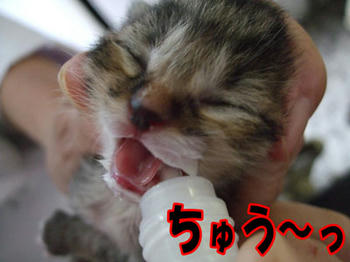 大丈夫!!