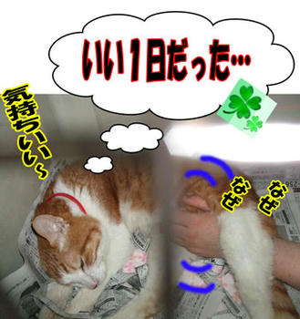 良かったね(*^-^)ニコ