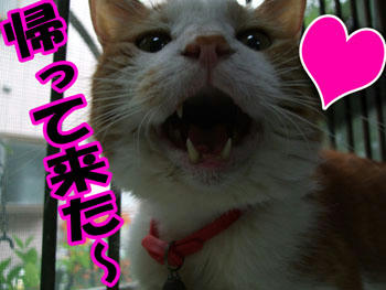 おかえりなさ～い！