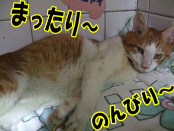 のほほ～～ん
