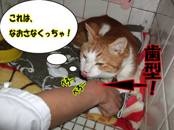 穴があいちゃった…(ＴｍＴ)ｳｩｩ･･･