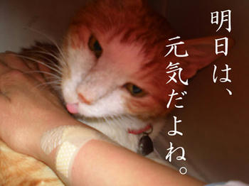 元気出るよ。うん!(^^)