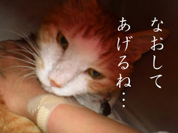 やさしいね！