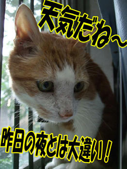 コロコロ変わる～