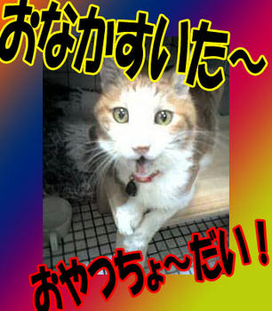 お・や・つ！