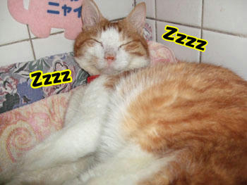 いきなり眠気！？