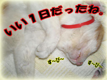 明日もおねだりしてね♪