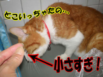 どこ？どこ？