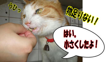小さすぎ！