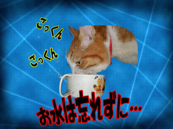 お水、おいしいよ。