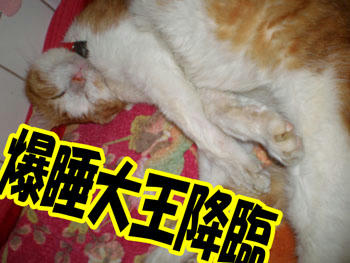 大王様バンザイ