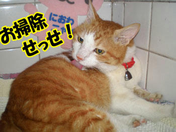 まずはお背中から…