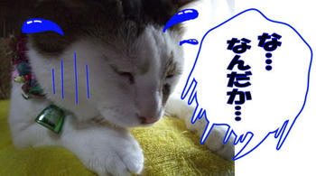 どうしたの?
