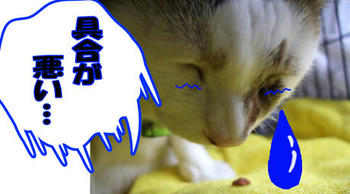 わぁ～じどちゃんが…！