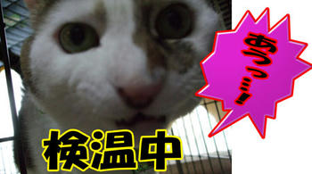 うっ!…って感じ?