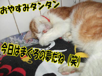 おいしい夢だ♪