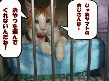 ショックです(泣)