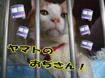 必死のお願い(-m-)” ﾊﾟﾝﾊﾟﾝ