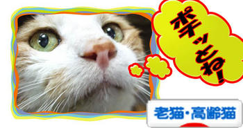 <(_ _*)> アリガトォ