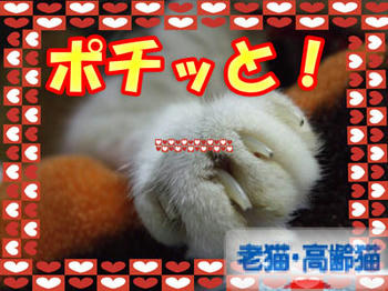 ゚★('-^v)Thanks(v^-')★。.:*: