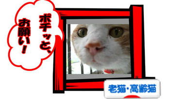 ありがと~☆ヽ(∇⌒ヽ)(ノ⌒∇)ノ☆