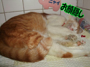 眩しい～～