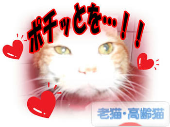 ☆^ヽ(*^-゚)vThank you♪