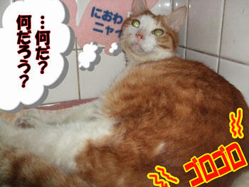 気づいた？