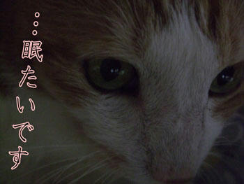 しんどいです
